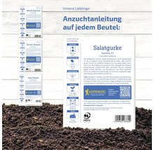 Image d''un paquet de graines de concombre avec instructions de culture