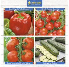 Collage de différents légumes : poivron bloc Yolo Wonder, tomate cerise Cherrola, tomate à salade Hellfrucht/Hilmar et concombre de salade Corinto