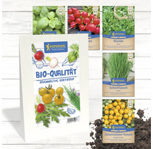 Image de différents paquets de graines biologiques Kiepenkerl avec des légumes