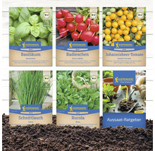 Différents paquets de semences biologiques Kiepenkerl : basilic, radis, tomate groseille, ciboulette, roquette et guide des semis.