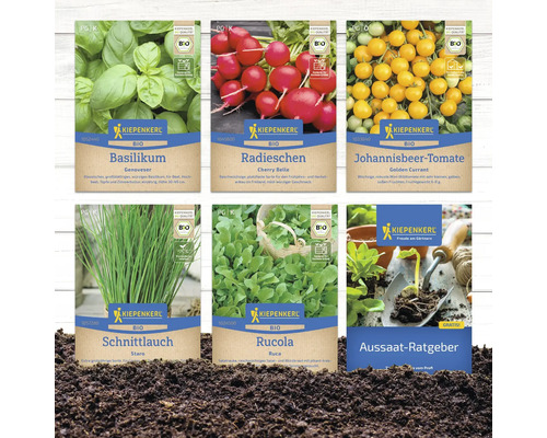 Différents paquets de semences biologiques Kiepenkerl : basilic, radis, tomate groseille, ciboulette, roquette et guide des semis.