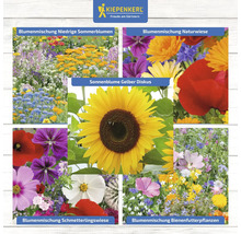 Collage verschiedener Blumensorten und des Kiepenkerl Logos.