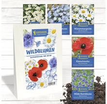 Samenmischung Wildblumen Blütenfestival der Natur von Kiepenkerl