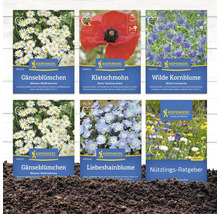 Blumensamen von Kiepenkerl für Gänseblümchen, Klatschmohn, Kornblumen und andere Wildblumen