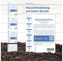 Informationen zur Aussaat von Wildblumenmischungen mit Gänseblümchen, Klatschmohn, Kornblume, Liebeshainsblume und Wiesenmargerite sowie Kiepenkerl Logo