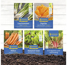 Abbildung verschiedener Samentüten von Kiepenkerl: Lauchzwiebel, Paprika, Karotte, Babyleaf Salat und Mangold.