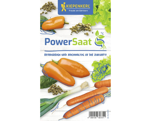 Gemüsesamen-Set Kiepenkerl 'PowerSaat', 4 Packungen Zwiebel Paprika Karotte Schnittsalat/Pflücksalat inkl. Aussaatratgeber Kiepenkerl PowerSaat Gemüsemischung Samenpackung