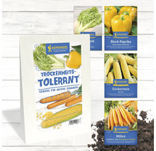 Graines de légumes Kiepenkerl: blettes, poivrons, maïs doux et carottes