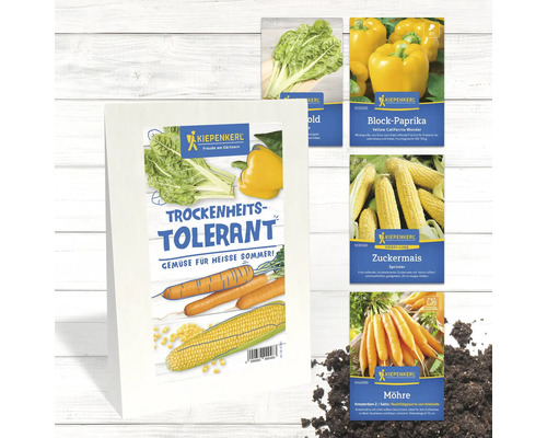 Graines de légumes Kiepenkerl: blettes, poivrons, maïs doux et carottes