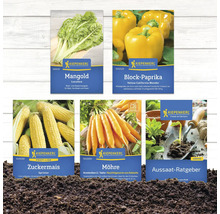 Image de différentes semences de Kiepenkerl : Bette à carde, poivron bloc, maïs doux, carotte et guide de semis.