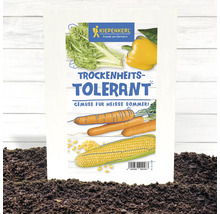 Kiepenkerl Sachet de graines de légumes tolérant à la sécheresse pour étés chauds
