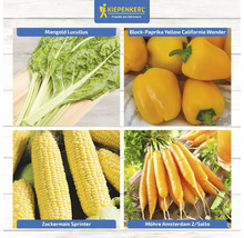 Collage avec bette à carde, poivron, maïs doux et carottes