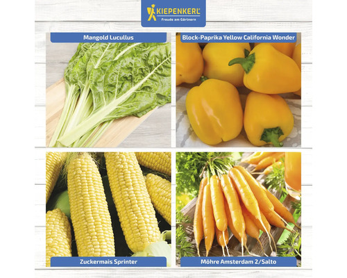 Collage avec bette à carde, poivron, maïs doux et carottes