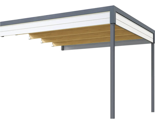 Extension de toiture abri de jardin Outdoor Life Felix 3/Fynn 3 300 x 300 cm gris clair Toit avec lattes en bois et cadre en acier