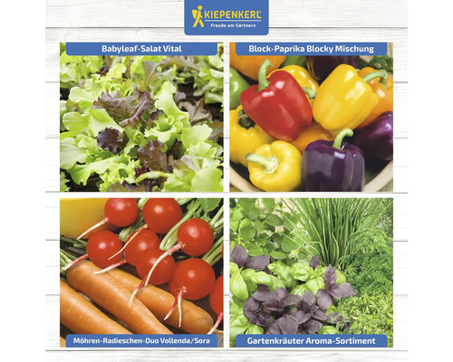 Collage mit Babyblatt-Salat, Blockpaprika, Karotten-Radieschen und Gartenkräutern