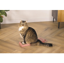 Eine getigerte Katze sitzt auf einem Kratzbrett.