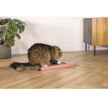 Katze kratzt an einem Kratzbrett auf einem Holzboden