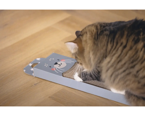 Chat grattant un grattoir en carton avec un motif de chat.