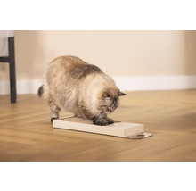 Katze kratzt an einem Kratzbrett auf dem Boden.