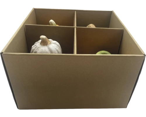 Citrouilles décoratives dans une boîte en carton à quatre compartiments