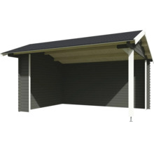 Abri à bois avec toit pour le jardin