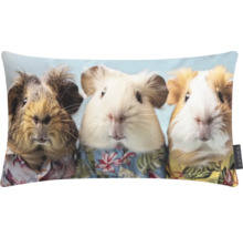 Dekokissen mit Meerschweinchenmotiv im Hemd