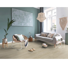 Wohnzimmer mit Sofa, Sessel, Zimmerpflanze, Teppich und Dekoration