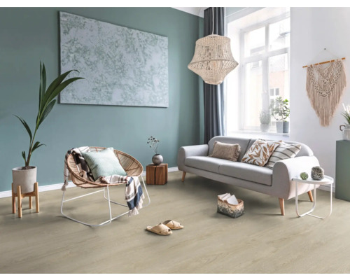 Wohnzimmer mit Sofa, Sessel, Zimmerpflanze, Teppich und Dekoration