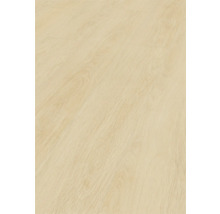 Gros plan d''un sol stratifié clair