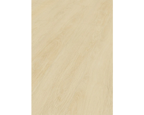 Gros plan d''un sol stratifié clair