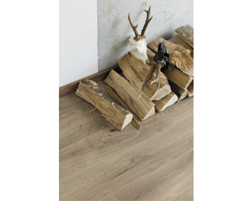 Bois empilé à côté d''un sol stratifié avec des bois et une décoration de tête d''animal