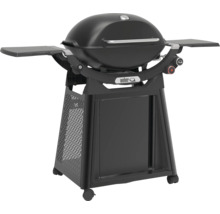Barbecue Weber Q avec deux tablettes latérales et support