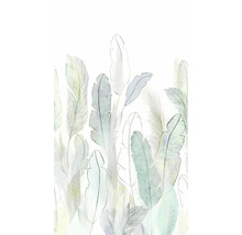 Illustration de feuilles tropicales pour décoration murale