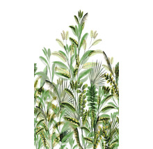 Illustration de diverses plantes vertes