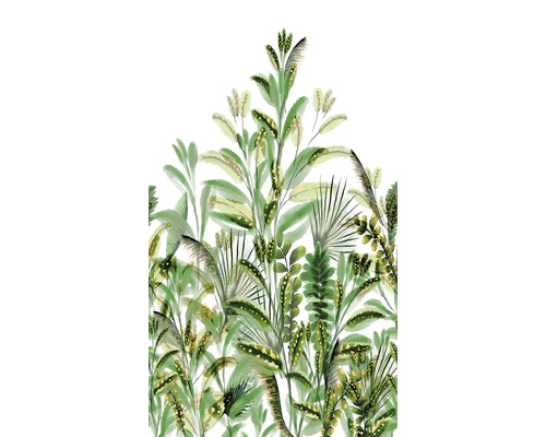 Illustration de diverses plantes vertes