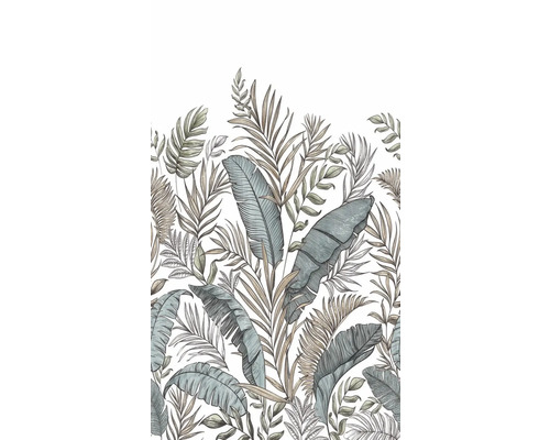 Illustration de feuilles tropicales