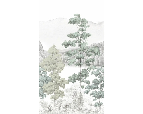 Papier peint avec paysage forestier et arbres