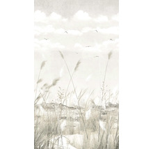 Papier peint avec herbes, ciel et oiseaux