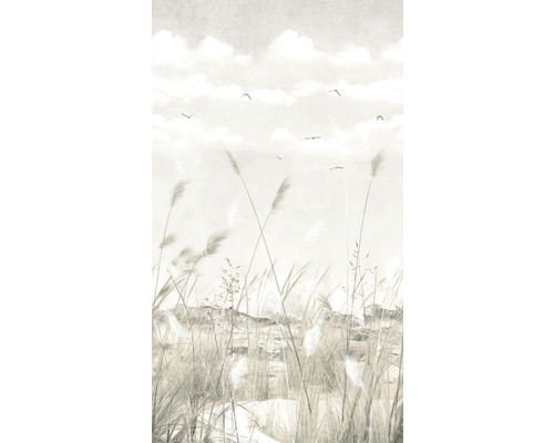 Papier peint panoramique impression numérique intissé 202701 North Sea 3 pces 280 x 159 cm Papier peint avec herbes, ciel et oiseaux