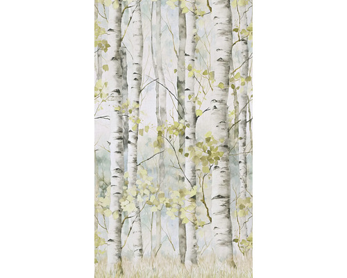 Papier peint panoramique impression numérique intissé A77301 Betula 3 pces 280 x 159 cm Papier peint avec motif de forêt de bouleaux