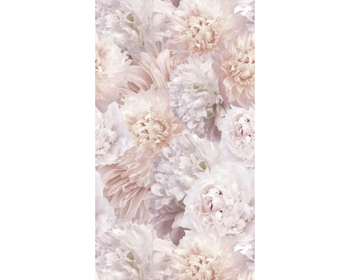 Papier peint panoramique impression numérique intissé A77501 Fontaine 3 pces 280 x 159 cm Gros plan de fleurs de pivoine