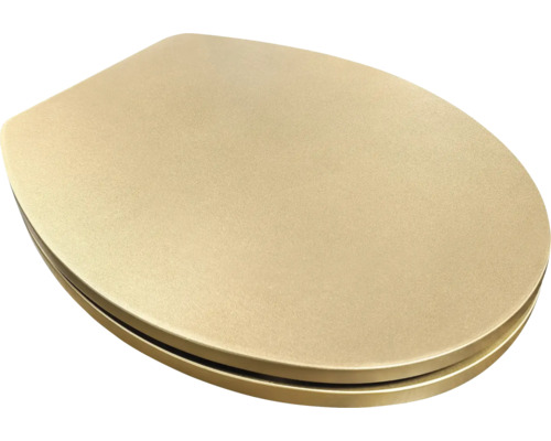 Toilettendeckel aus Kunststoff