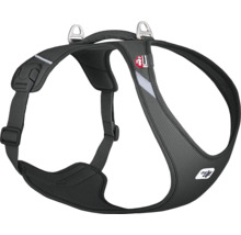 Harnais Curli noir pour chien