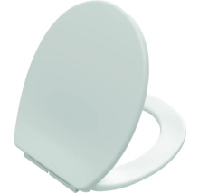 Toilettendeckel aus Kunststoff