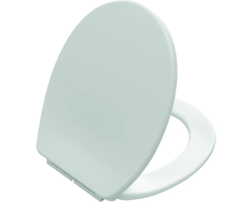 Toilettendeckel aus Kunststoff