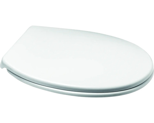 Weißer WC-Sitz