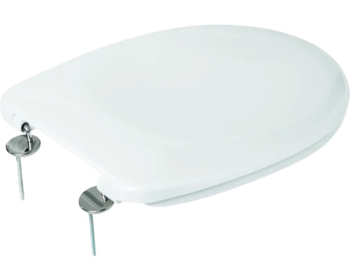Toilettendeckel mit Befestigung