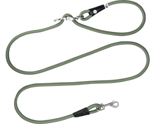 Laisse pour chien verte en corde avec mousqueton