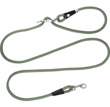 Laisse pour chien verte en corde avec mousqueton