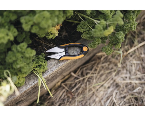 Fiskars Kräuterschere neben frischer Petersilie auf einem Holzbrett